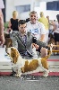  - European Dog Show Brussels